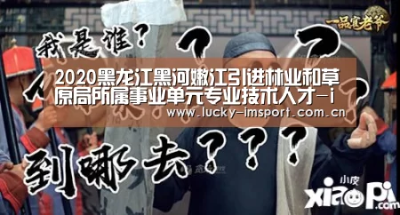 im入口