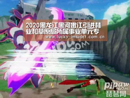 2020黑龙江黑河嫩江引进林业和草原局所属事业单元专业技术人才-im体育投注