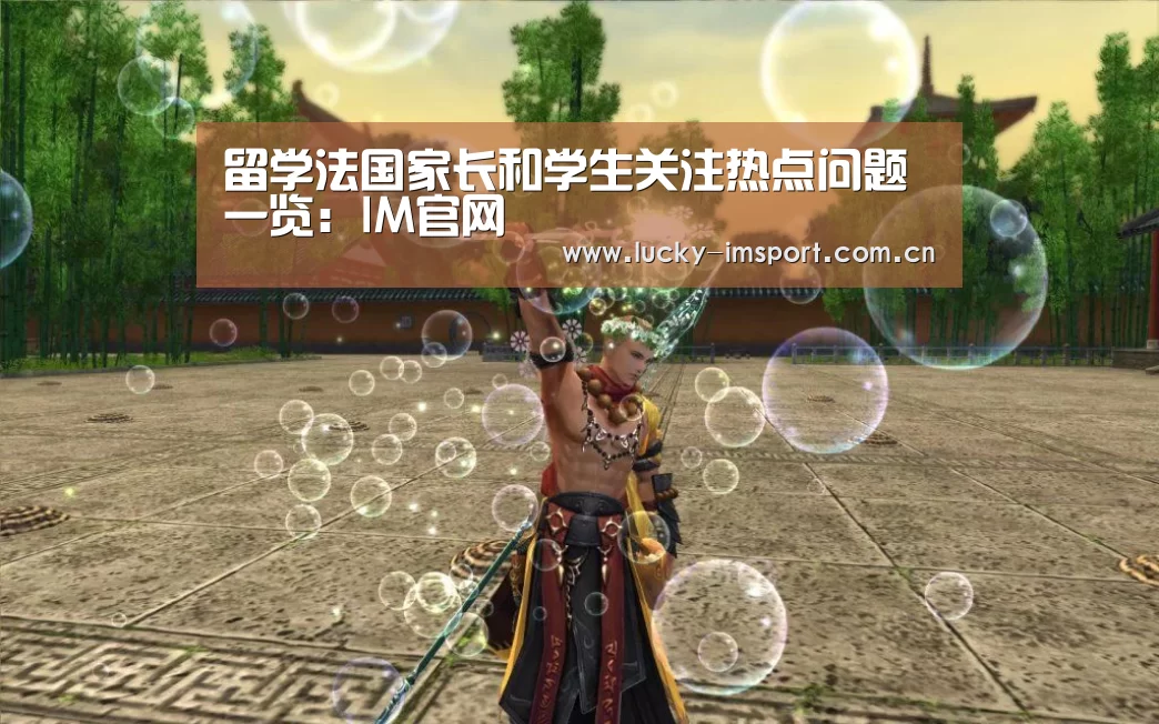im入口