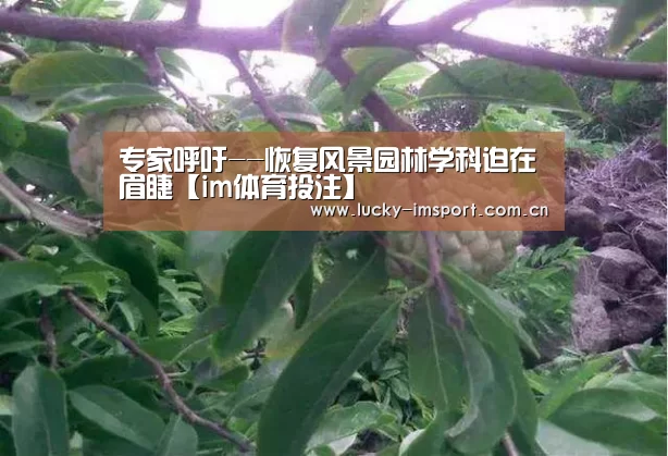 专家呼吁--恢复风景园林学科迫在眉睫【im体育投注】(图3) im入口