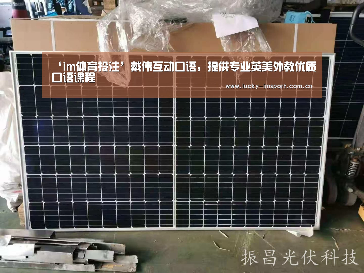 im体育投注