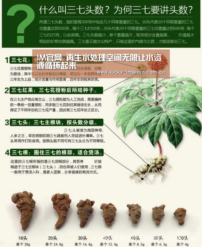 IM官网_再生水处理空间无限让水资源循环起来