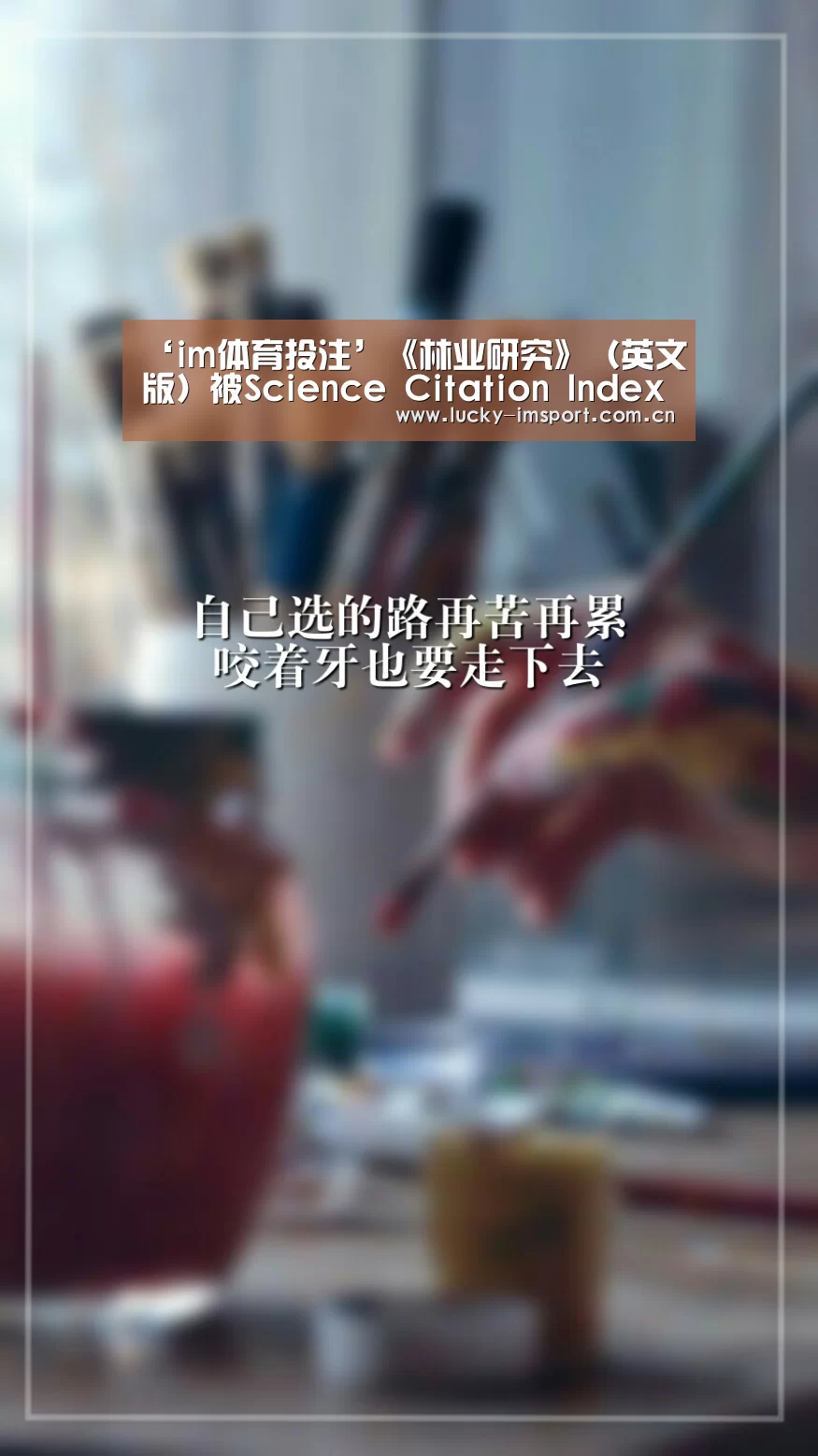 im入口