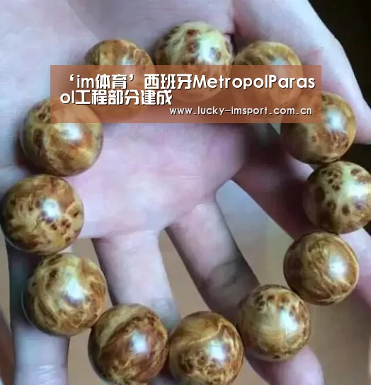 ‘im体育’西班牙MetropolParasol工程部分建成