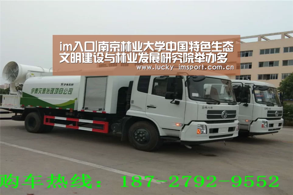 im入口