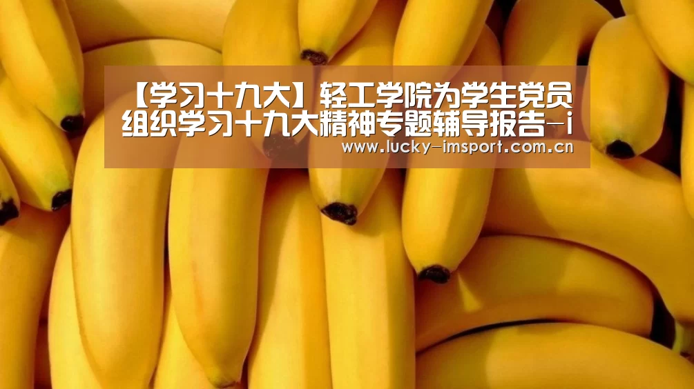 IM官网