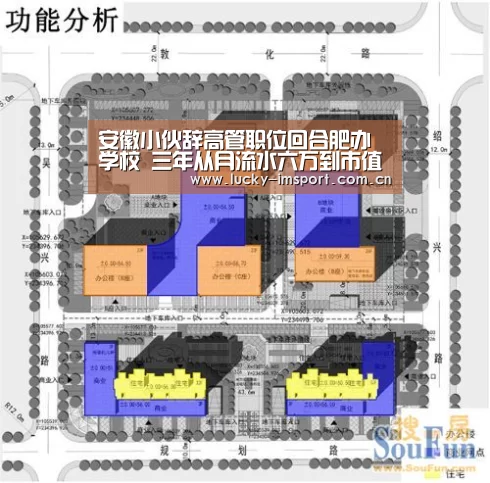 安徽小伙辞高管职位回合肥办学校 三年从月流水六万到市值五个亿：IM官网